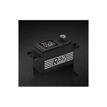 Servo POWER HD R12