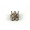 Kit molle posteriori F1 / Rear floting plate springs for F-ONE_017