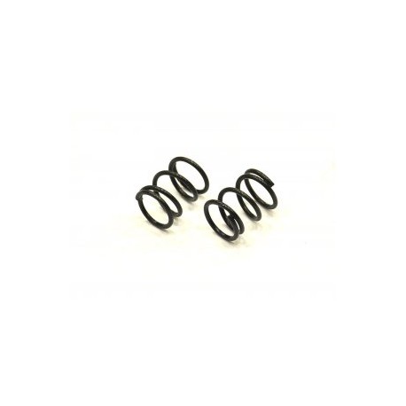front spring 22lbs  S 120 L (2)