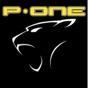 P-ONE